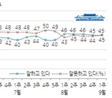 박 대통령 지지율, 긍정도 부정도 똑같이 '45%'
