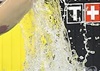 취재진 카메라 절도범, 잡고 보니 일본 수영 금메달리스트