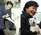 '두' 박 대통령과 진돗개, 그리고 청와대의 시간