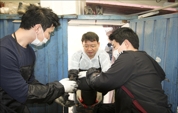 진에어, 저소득 가족 대상 연탄 나눔 봉사활동