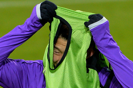 손흥민 '테요까지' 토트넘 광기어린 수집