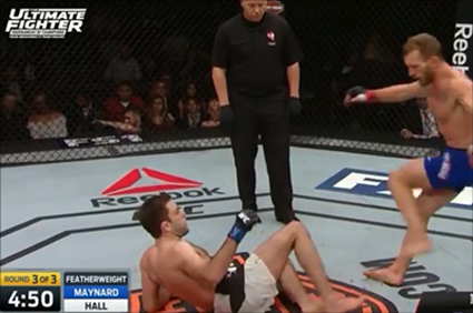 괴랄한 뉴 베우둠? 최두호·정찬성도 짜증날라 