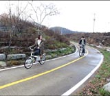 '자전거길' 위험요소 투성인데...'따릉이 2만시대' 웬말?