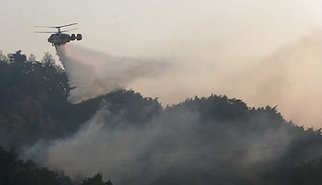 신원섭 산림청장 "강릉·삼척·상주 산불, 정오까지 주불 진화에 총력"