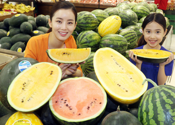 “때 이른 무더위, 이색 수박 만나보세요”