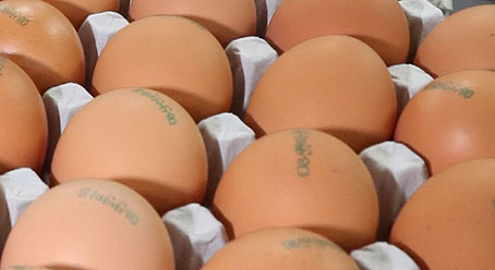 ‘살충제 계란’ 검출 농가, 재검사 요건 강화된다