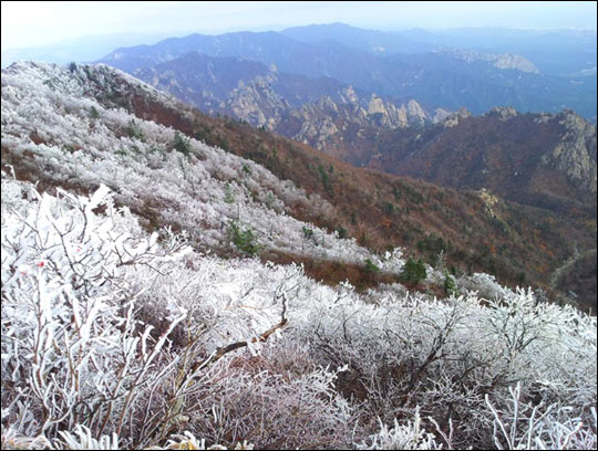 설악산 케이블카 사업 또 제동…문화재위 현상변경안 '부결'