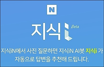 네이버 지식iN, AI가 사진 질문도 답한다