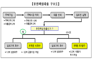 국토부 "유한책임 디딤돌대출 부부합산 연소득 5천만 원까지로 확대"