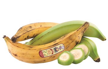 신세계푸드, 요리용 바나나 '바나밸리 쿠킹' 출시
