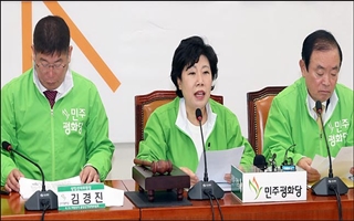 민주평화당 "김문수, 안철수 단일화 논의…희대의 코미디"