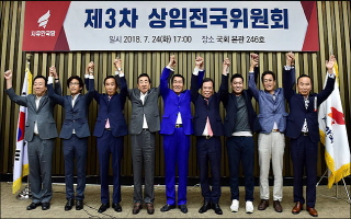 한국당, '김병준 비대위' 구성 완료…박덕흠 김종석 포함