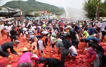 오뚜기 후원, 화천 토마토 축제 폭염에도 인기…10만명 방문