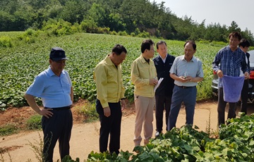 김광수 NH농협금융 회장, 휴가 중 폭염 피해 농가 방문 