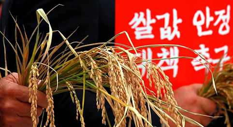 수확기에도 오르는 쌀값…‘눈치행정’이 ‘눈치쌀값’ 될라