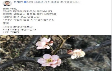 문재인 대통령 양산서 설맞이...“매화꽃이 피었습니다” 