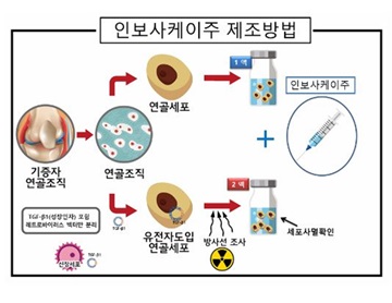 “인보사 국내 제품에도 신장세포”…허가취소 비상