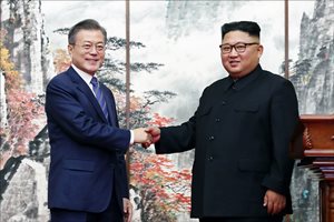[IGO 문재인정부 2년 데일리안 여론조사] '잘한 분야' 대북관계 27.3% 복지 12.6%