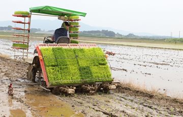 CJ프레시웨이, 쌀농가 위해 계약재배 확대 