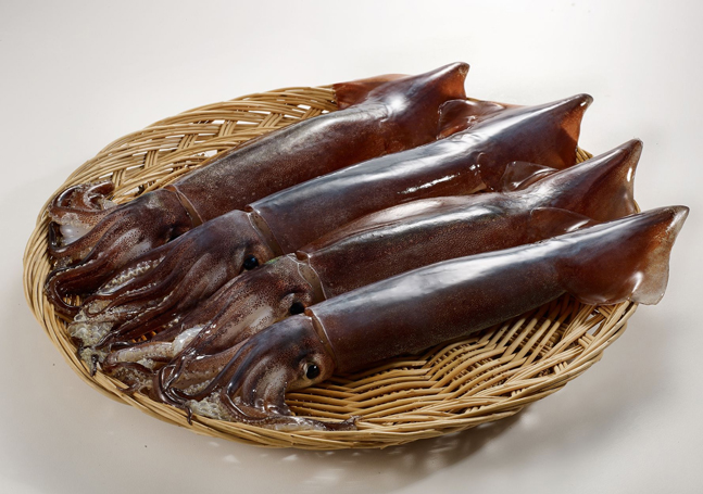 롯데마트, ‘국산 생 오징어’ 판매