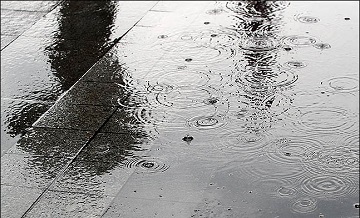 [내일날씨] 전국 흐리고 대부분 지역 비…낮 최고기온 31도