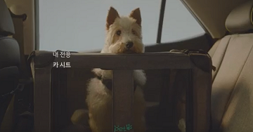 ‘車 속으로 들어온 犬’…현대차 반려견 마케팅