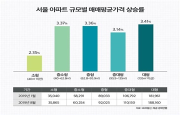 '똘똘한 한채' 붐에 중대형 아파트 풍선효과…소형보다 가격 상승 커