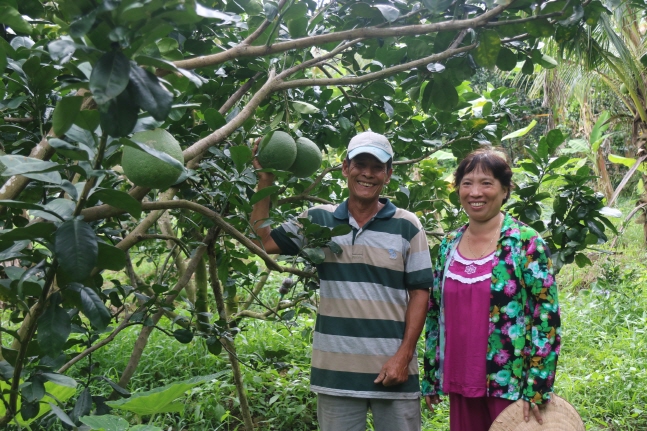 교보생명, 베트남 빈곤농가에 희망나무 16만그루 지원