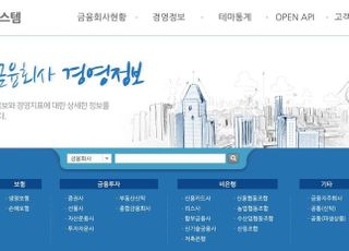 금감원, 금융통계정보 시스템 개편 완료…"정보 제공 폭 확대"