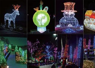 중부발전, 겨울철 문화예술 행사 ‘빛의 정원’ 개최