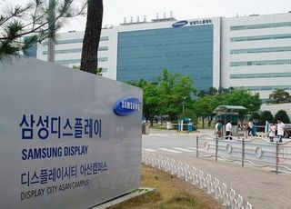 삼성디스플레이, 26명 승진…여성임원 2명 첫 배출