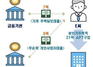 상호금융 자영업대출로 강남 아파트 구입…금융당국, 의심사례 현장점검