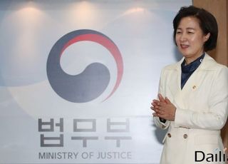 법무부, ‘청와대 선거개입 의혹’ 13명 공소장 비공개 결정