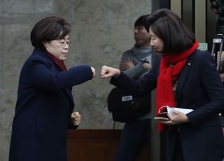 &lt;포토&gt; 나경원-김정재 '악수 대신 주먹인사'