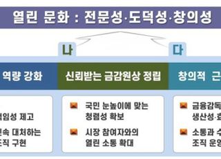 금감원, '전문감독관' 제도 도입…내부고발도 활성화