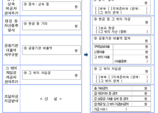 "투기과열지구 9억원 초과 주택, 증빙서류 없으면 못 사"