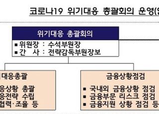 [코로나19] 금감원 금융상황점검회의, '위기대응 총괄회의'로 확대 개편
