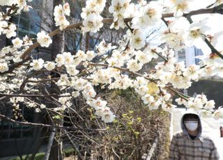 [내일날씨] ‘완연한 봄’ 서울 최고기온 16도…남부는 비 소식
