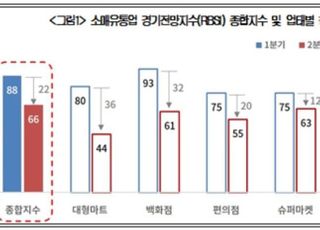 [코로나19] 2분기 소매유통업 경기전망지수 66…'역대 최저'