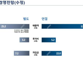 포스코, 올해 전체 투자비 5조2246억원으로 하향 조정