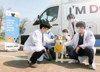 현대차 '반려견 헌혈카 캠페인 시즌2' 실시