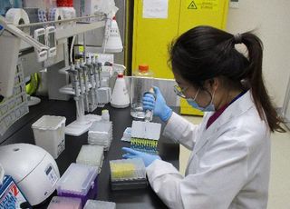 아프리카돼지열병 조기검출 가능…항체 진단기술 국산화 성공