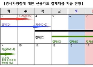 영세가맹점, '카드승인액' 기반 주말대출 길 열린다…"운영자금 숨통"