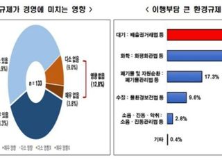 "과도한 환경규제, 제품 가격 인상으로 기업 경쟁력 약화시켜"