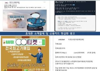 "온라인 대출광고에 경찰·태극기가 왜 나와?"…불법광고 '천태만상'