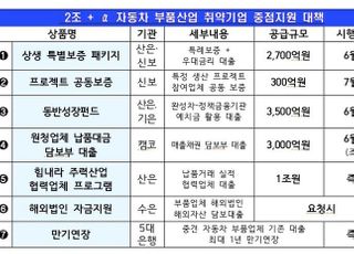 자동차 부품업계에 2조원+α 금융지원…시중은행 만기연장도