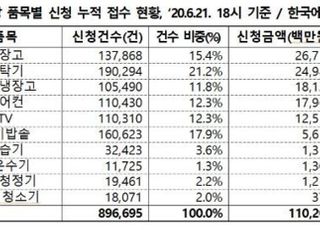 으뜸효율 가전제품 환급사업, 기업·소비자 모두 웃었다