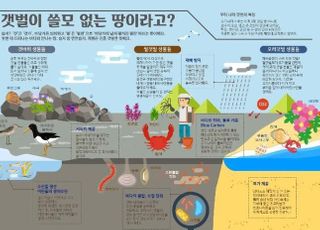 [기획-변화하는 바다②] 서울면적 6배, 해양생물자원의 보고 ‘갯벌’
