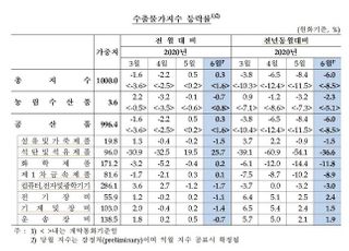 6월 수출물가 전월 대비 0.3%↑…2개월 연속 상승