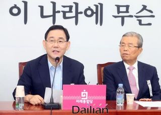 "자유민주주의·시장경제 지켜갈 터"…주호영, 이승만 추도사